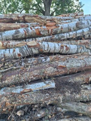 att.01zXppVHYUx2zMB6u8CJ3kUR9RI1McypFyTqdIBkktQ