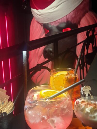 115b06cd-0d0d-45d5-815e-83e6c0da516c