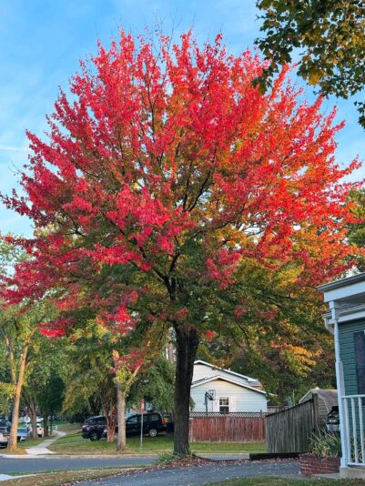 BE40F369-CAF0-44F2-81D8-0D6D6BB62FC9