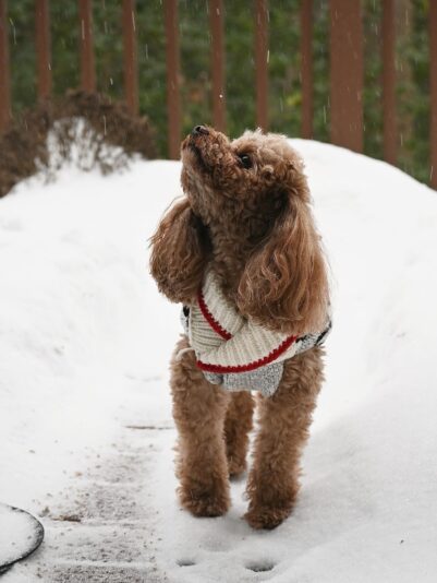 790ECD7E-FA13-4D71-B79D-6C30FDFA69DB