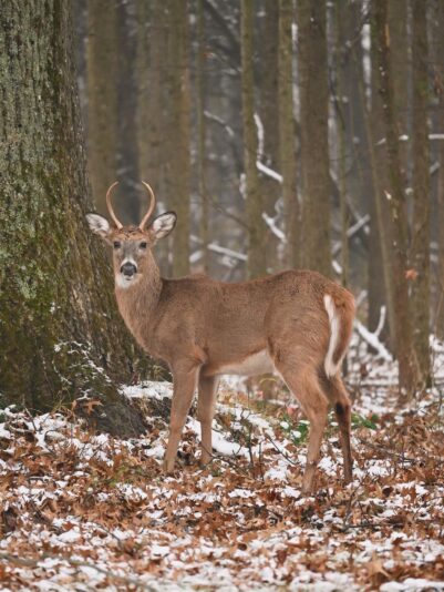 E34707DA-7EF9-416B-8F48-806BFC7B9321