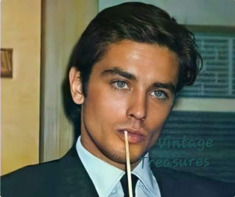 Screenshot 2024-09-12 at 04-44-35 Irresistible Alain Delon - Etsy Sweden