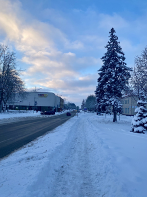 image_2024-02-29_204622177