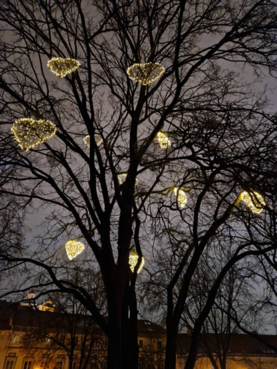 image_2024-02-29_210937451