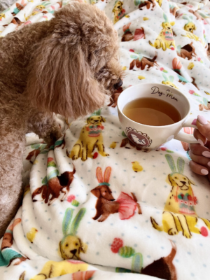 image_2024-02-29_221600202