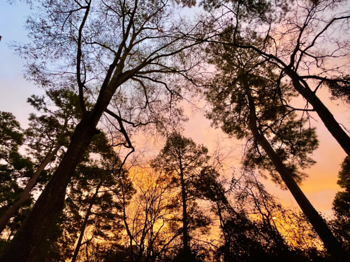 image_2024-02-29_221622930