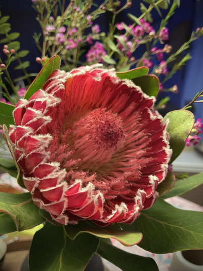 image_2024-02-29_221628419