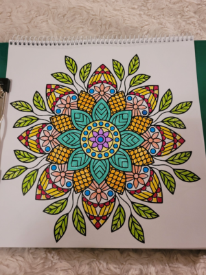 image_2024-02-29_222003477