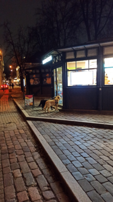 image_2024-02-29_222155968