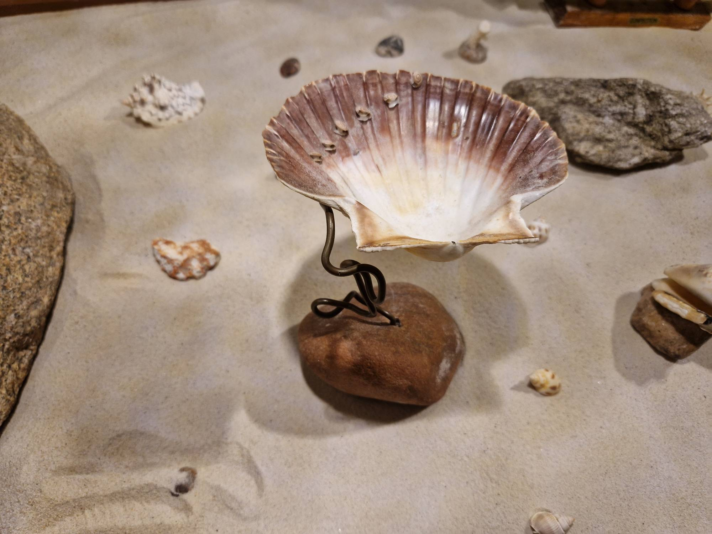 image_2024-02-29_222750113