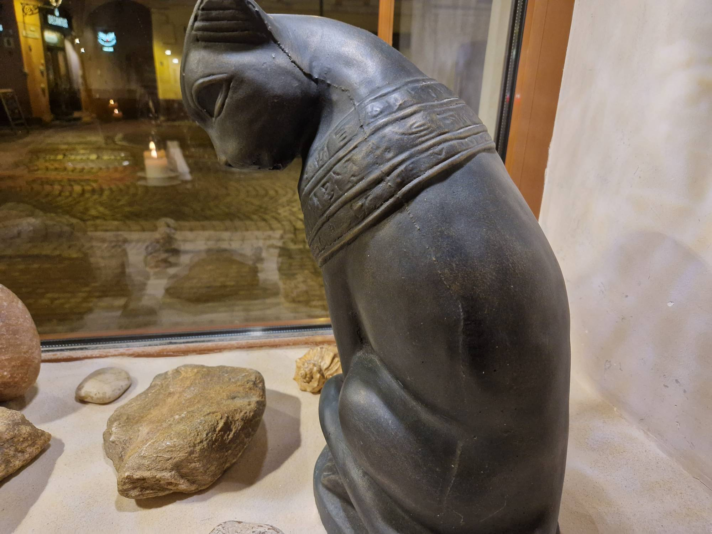 image_2024-02-29_222756350