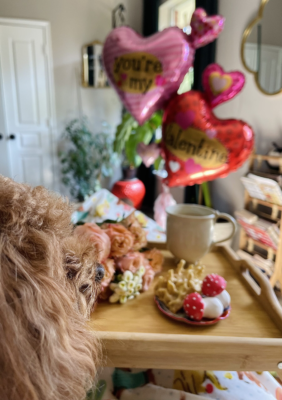 image_2024-02-29_223706405