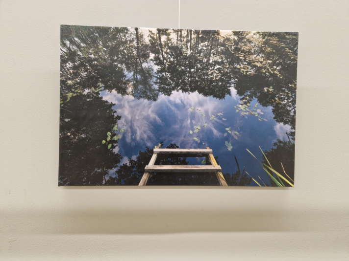 image_2024-02-29_224847282