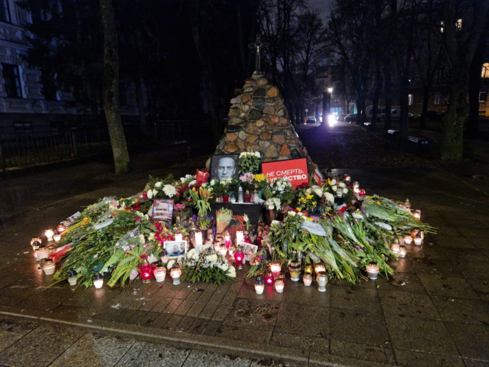 image_2024-02-29_224843155