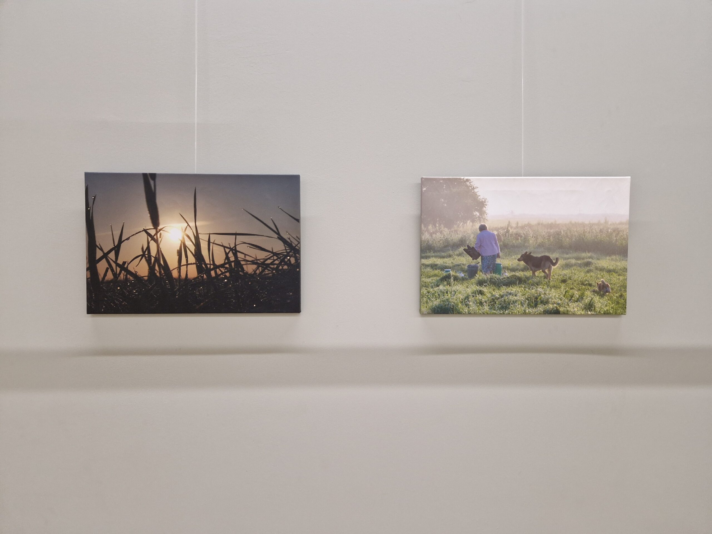 image_2024-02-29_224907854