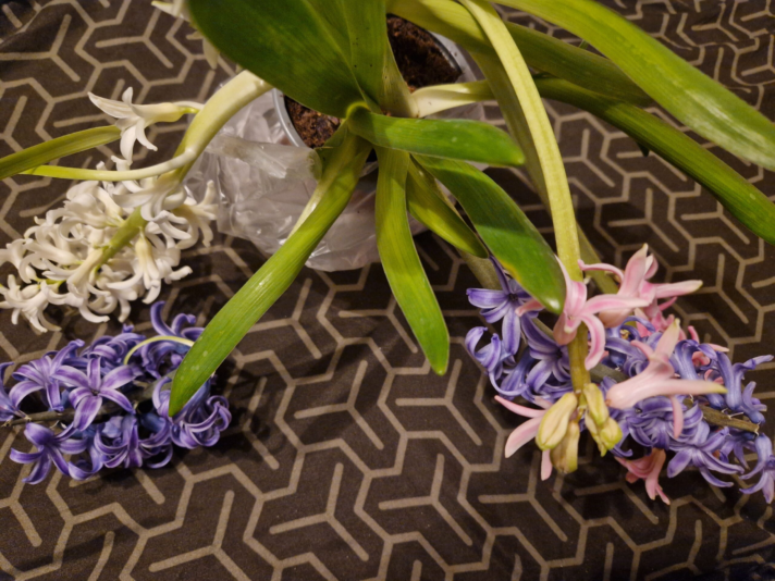 image_2024-02-29_225040920