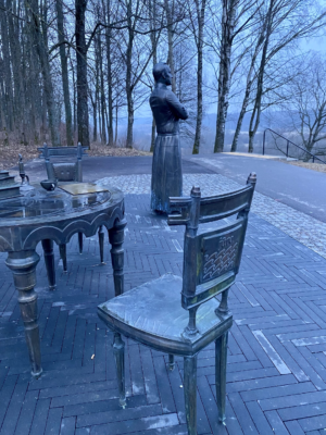 image_2024-02-29_225708560